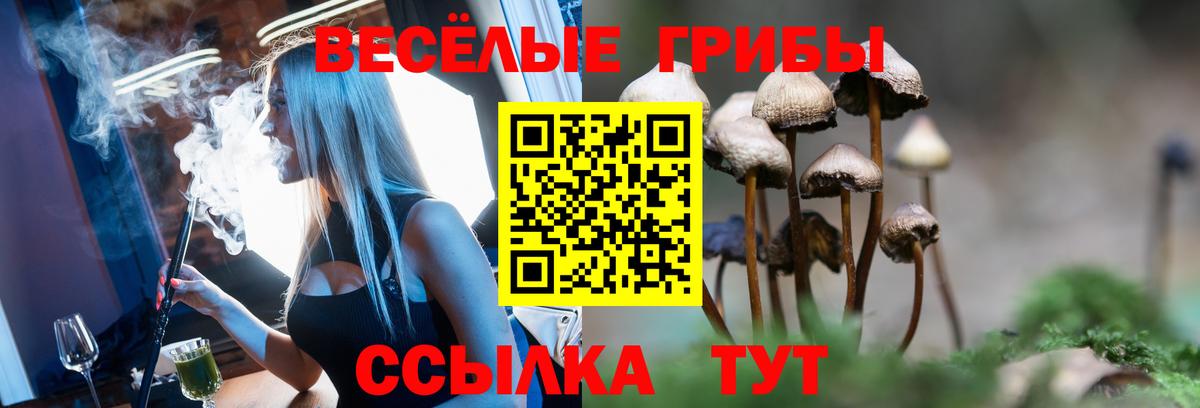 Галлюциногенные грибы MAGIC MUSHROOMS Губкин